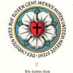Lutherrose